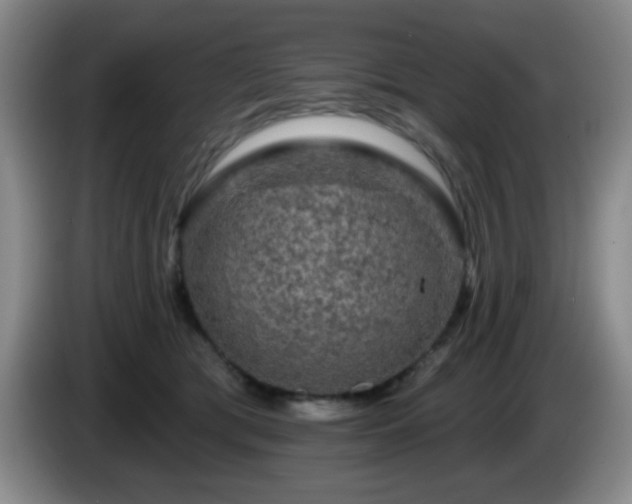 X0000085020417200703121547