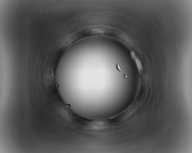X0000085020418200703121547
