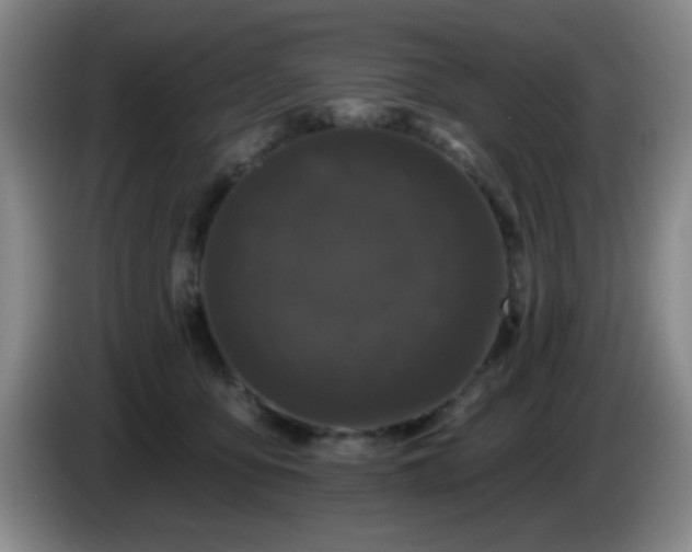 X0000085020419200703121547