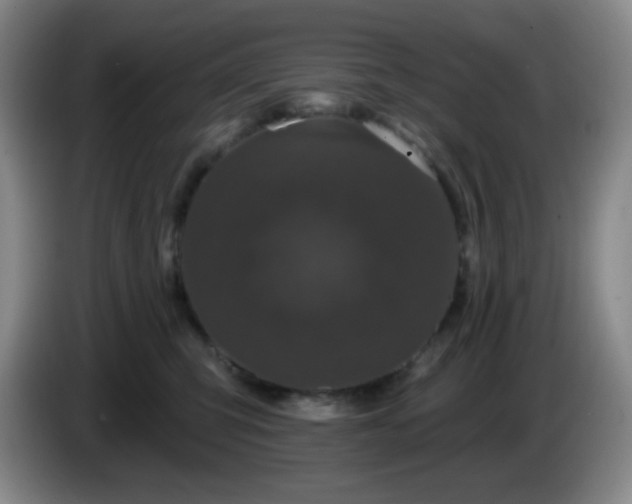 X0000085020423200703121546