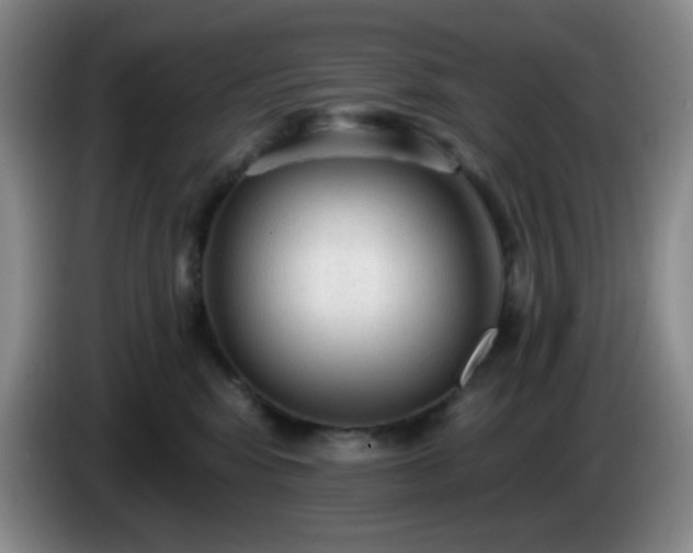 X0000085020424200703121546