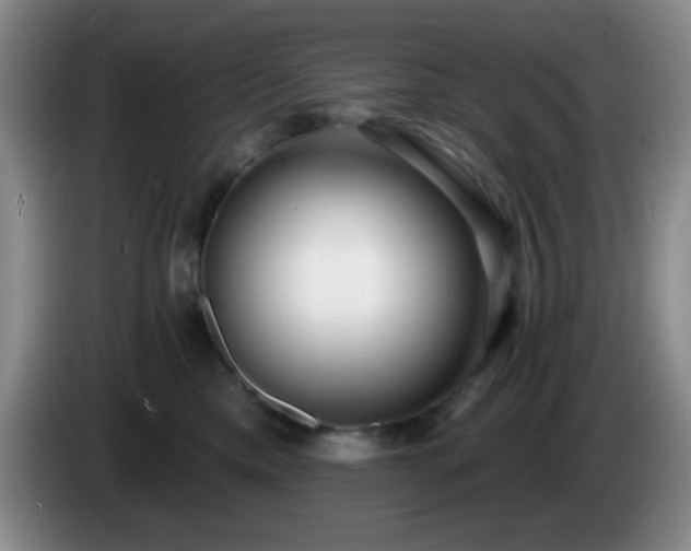 X0000085020425200703121546