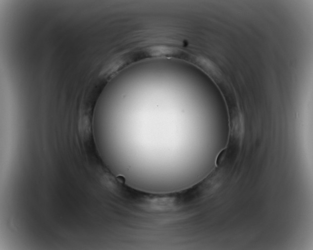 X0000085020426200703121546