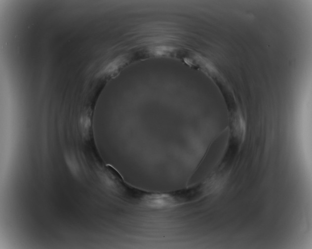 X0000085020427200703121546