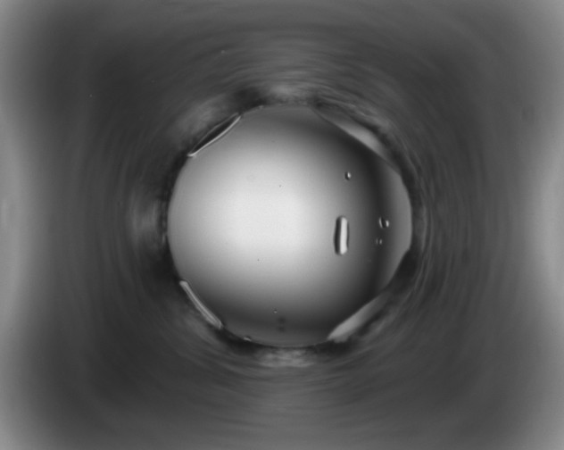 X0000085020428200703121546