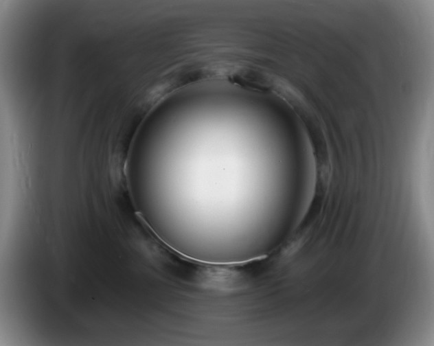 X0000085020429200703121546