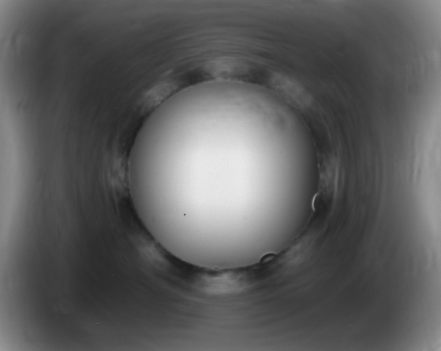 X0000085020430200703121546