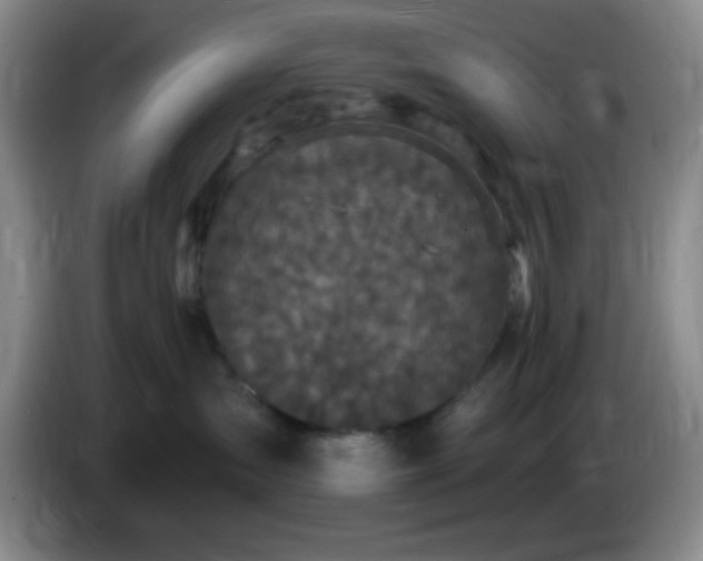 X0000085020431200703121546