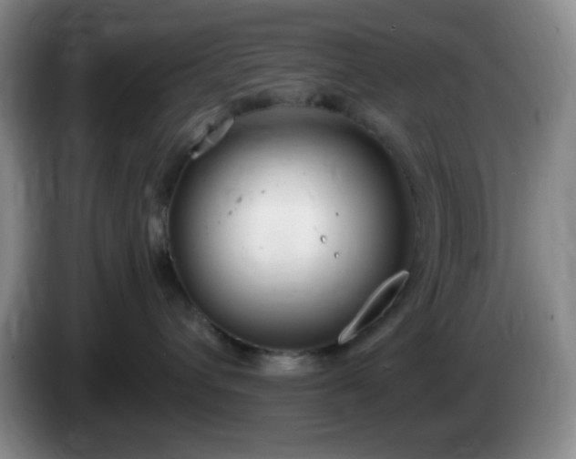 X0000085020432200703121546