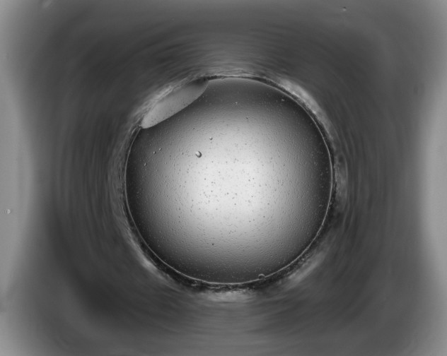 X0000085020433200703121546