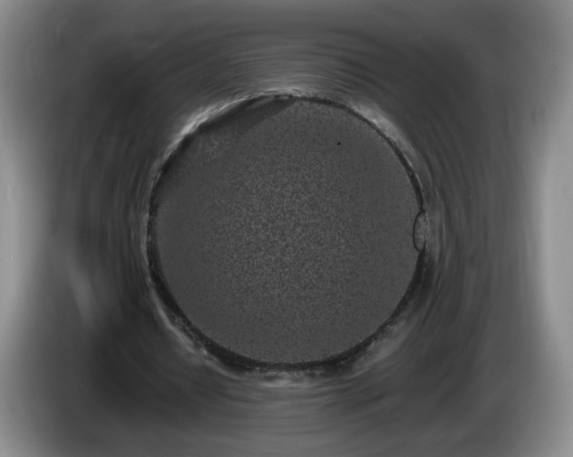 X0000085020434200703121546