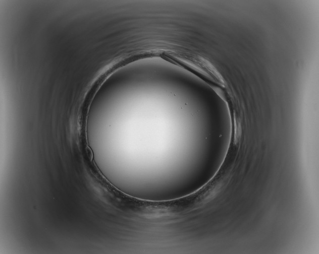 X0000085020435200703121546
