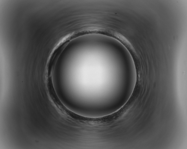 X0000085020436200703121546