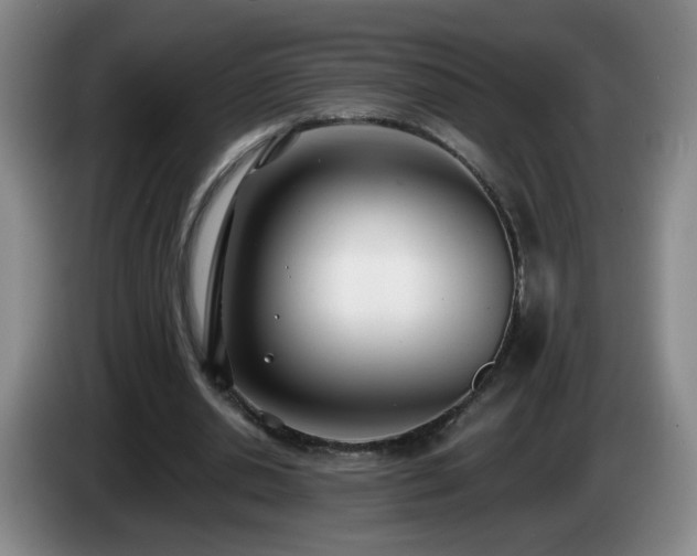 X0000085020438200703121546