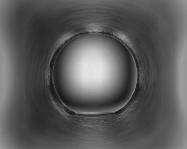X0000085020439200703121546