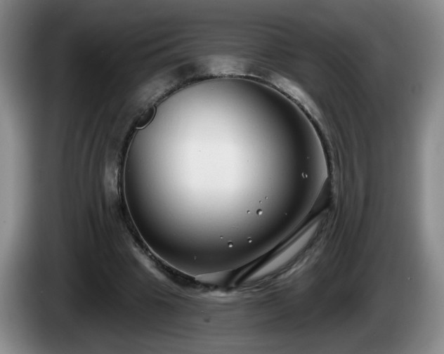 X0000085020441200703121546