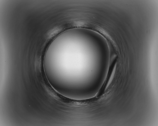 X0000085020442200703121546
