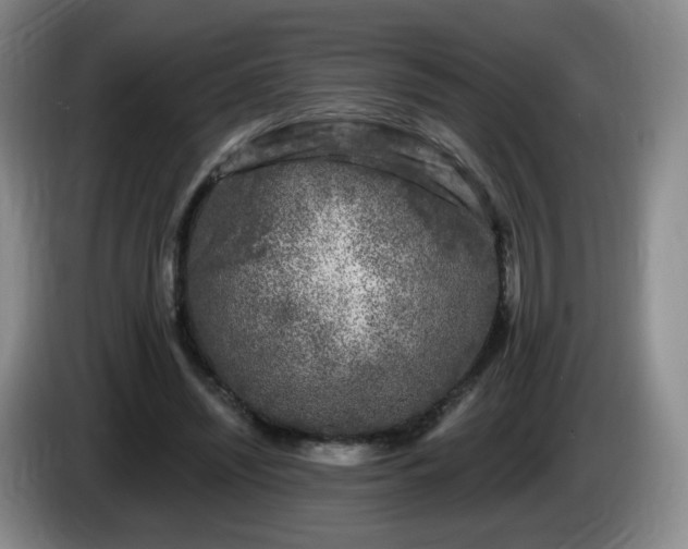 X0000085020444200703121546