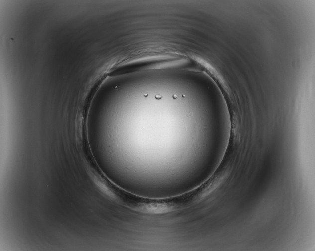 X0000085020445200703121546