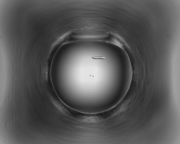 X0000085020446200703121546