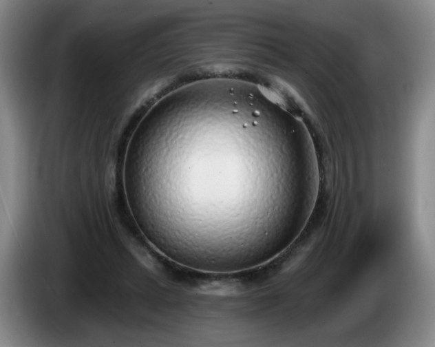 X0000085020447200703121546