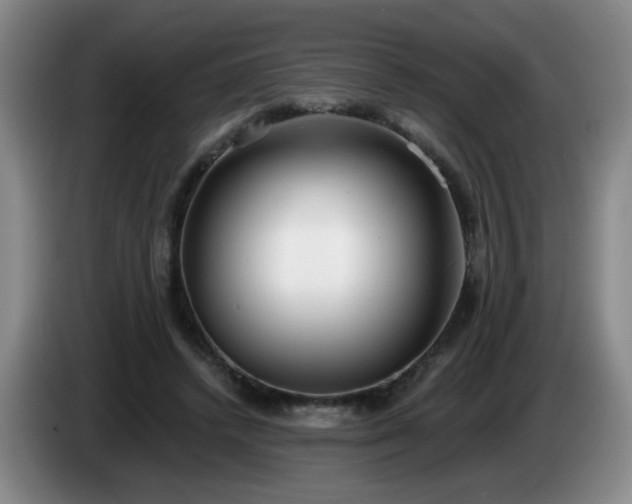 X0000085020448200703121546
