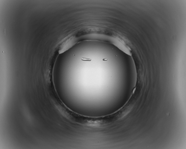 X0000085020450200703121546