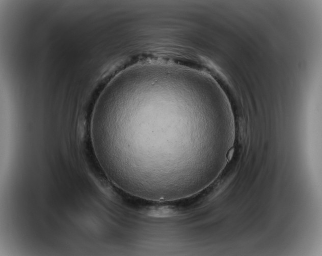 X0000085020451200703121546