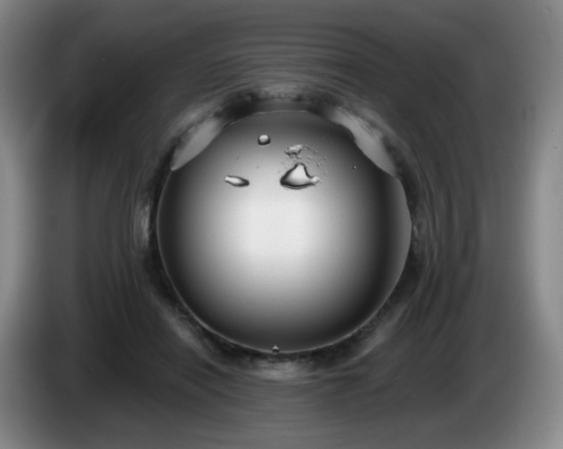X0000085020454200703121546