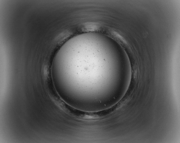 X0000085020455200703121546
