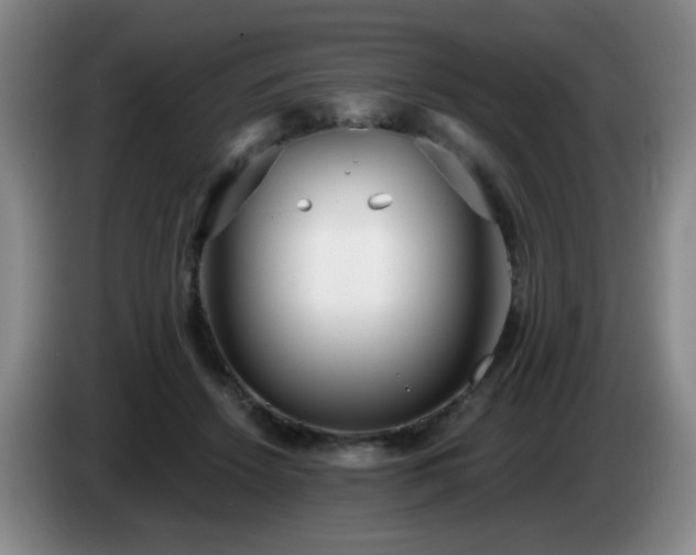 X0000085020456200703121546