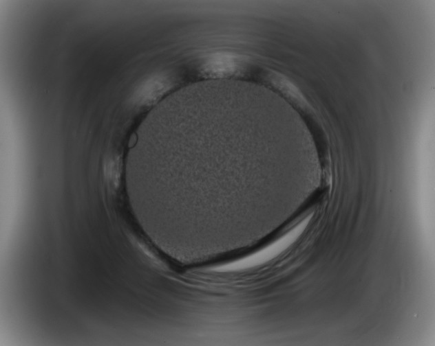 X0000085020458200703121546