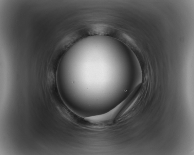 X0000085020459200703121546