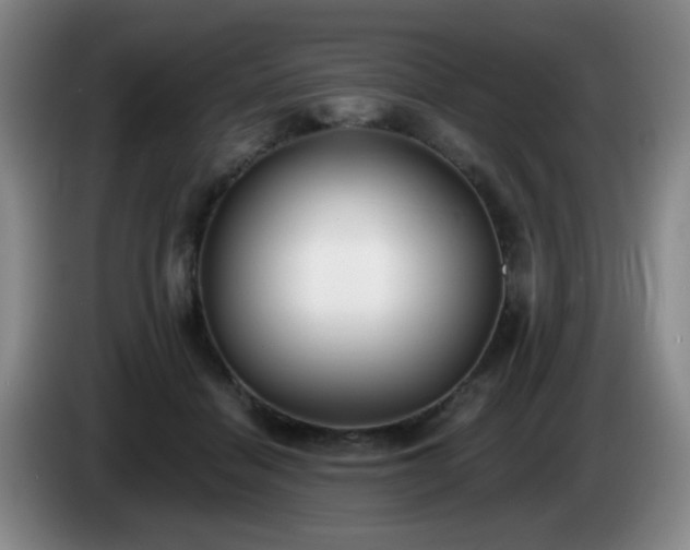 X0000085020460200703121546
