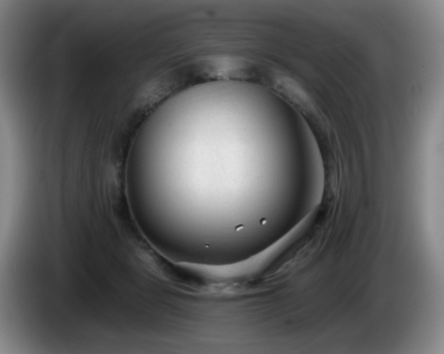 X0000085020461200703121546