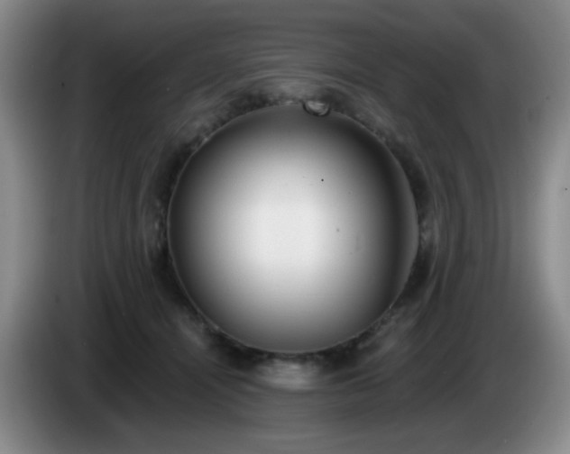 X0000085020464200703121546