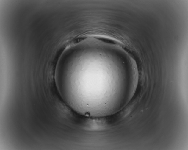 X0000085020466200703121546