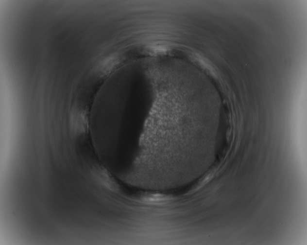 X0000085020467200703121546