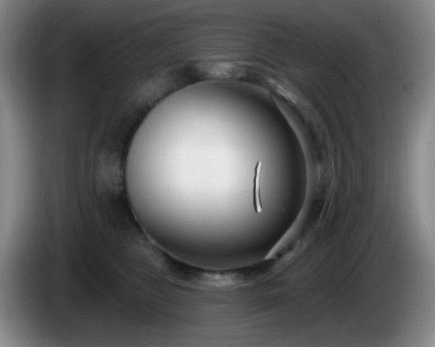 X0000085020469200703121546