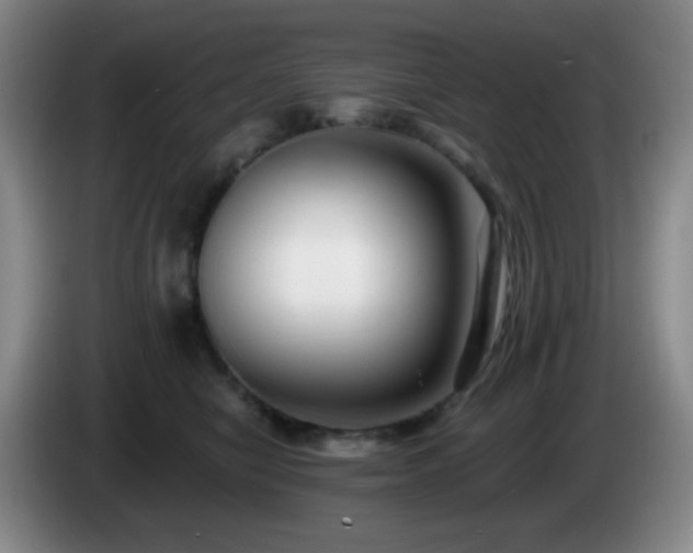 X0000085020470200703121546