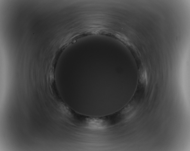 X0000085020471200703121546