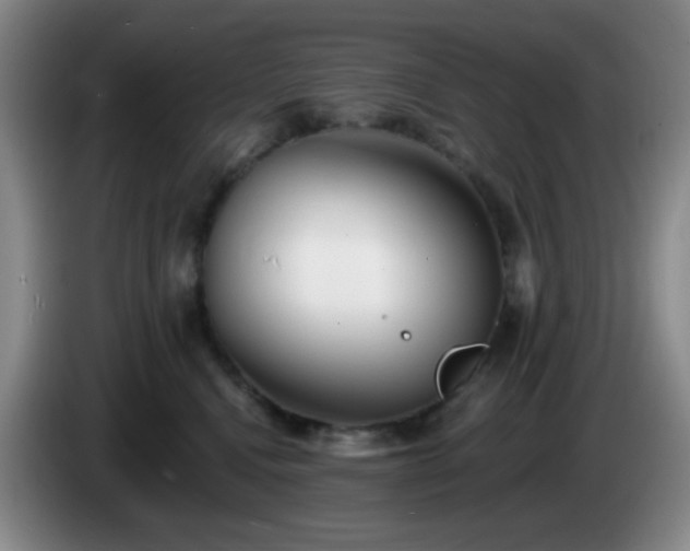 X0000085020472200703121546