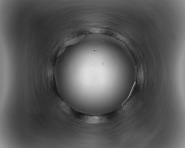 X0000085020473200703121546