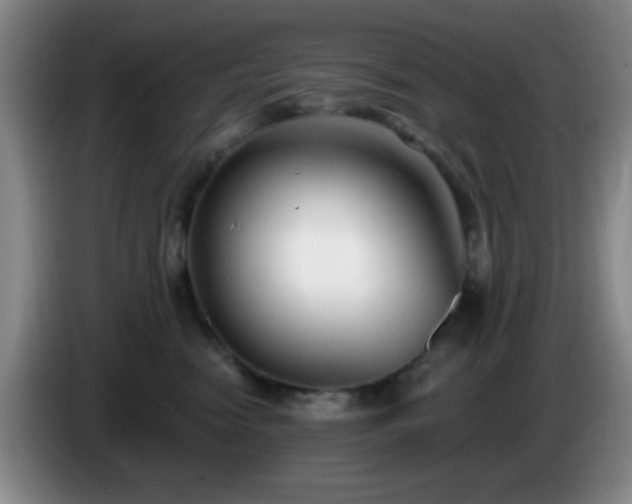X0000085020474200703121546