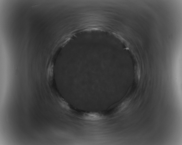X0000085020475200703121546