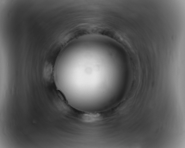 X0000085020480200703121546