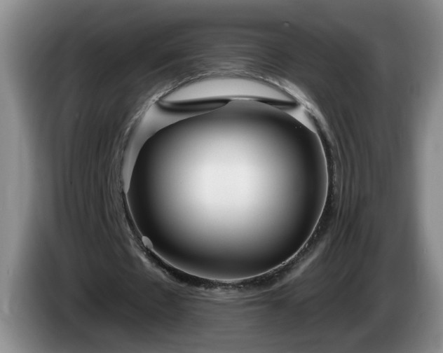 X0000085020481200703121546