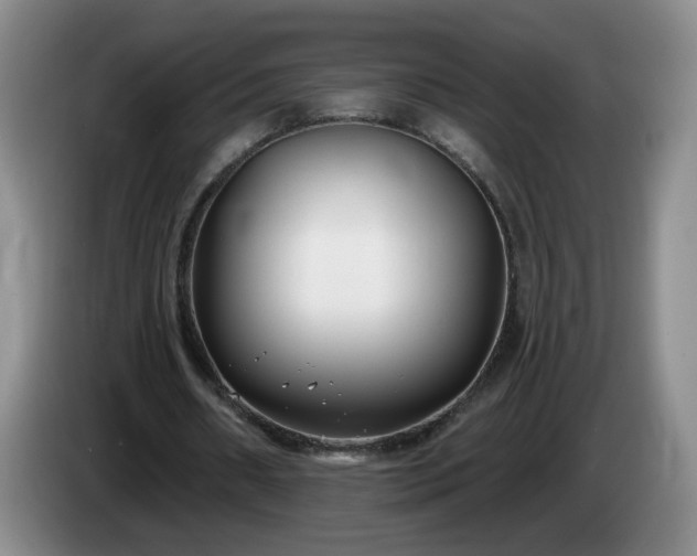 X0000085020482200703121546