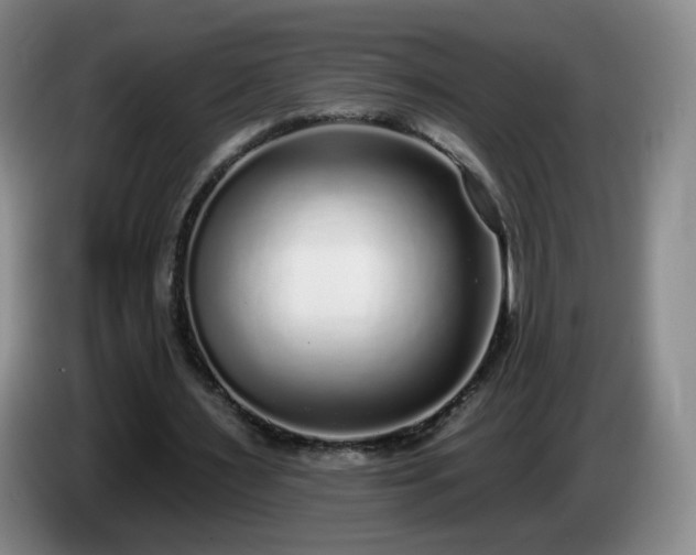 X0000085020483200703121546