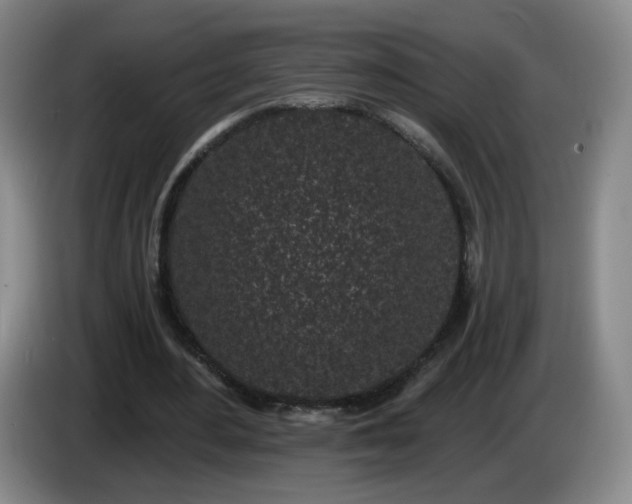 X0000085020484200703121546